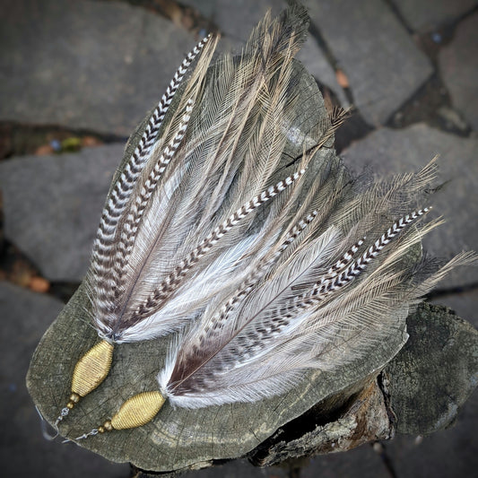 Elnath earrings