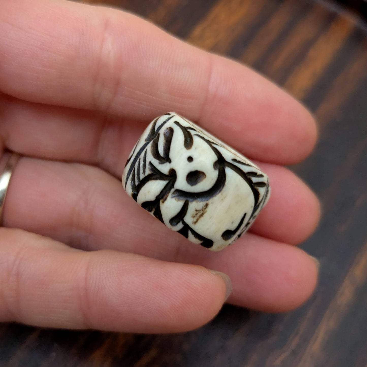 Korálek kostěný slon